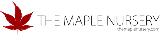 The Maple Nursery